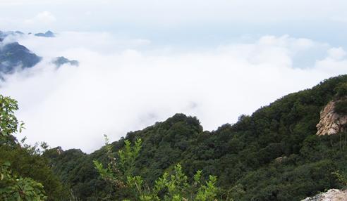 【江門2天品質(zhì)游】新會古兜溫泉、天然山泉水世界、陳